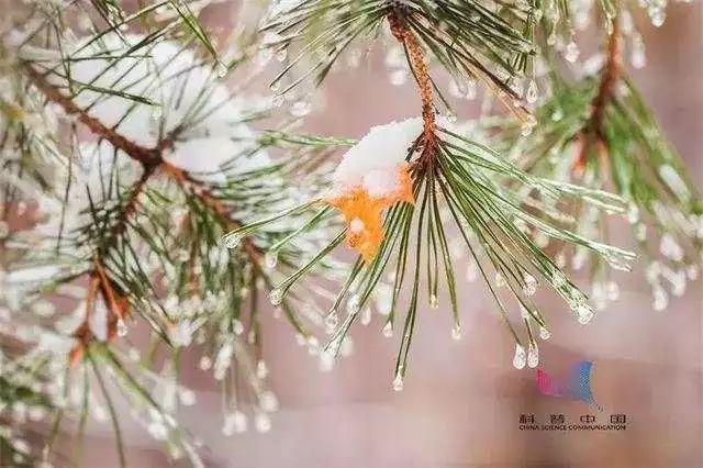 立冬来了,你捂暖了吗? 立冬来了,你捂暖了吗?