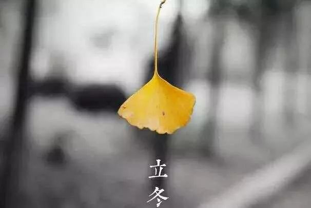 立冬来了,你捂暖了吗? 立冬来了,你捂暖了吗?
