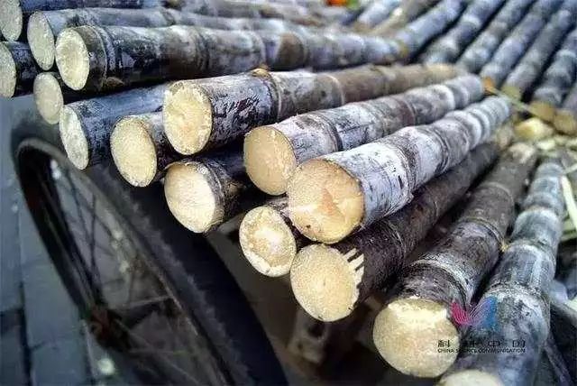 立冬来了,你捂暖了吗? 立冬来了,你捂暖了吗?