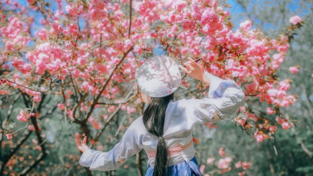 花朝节丨一个被世人遗忘的节日,却是一年中最美的日子 花朝节丨一个被世人遗忘的节日,却是一年中最美的日子