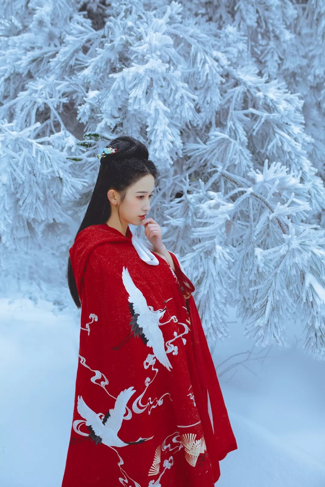 杭州｜穿汉服感受第一场大雪，太美了！
