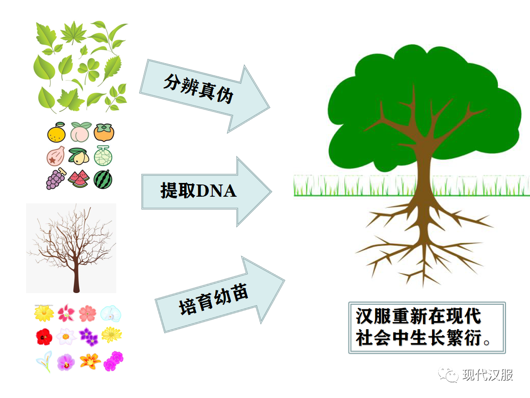 大家看过来：汉服体系研究第三条路，PPT图表详解（一）