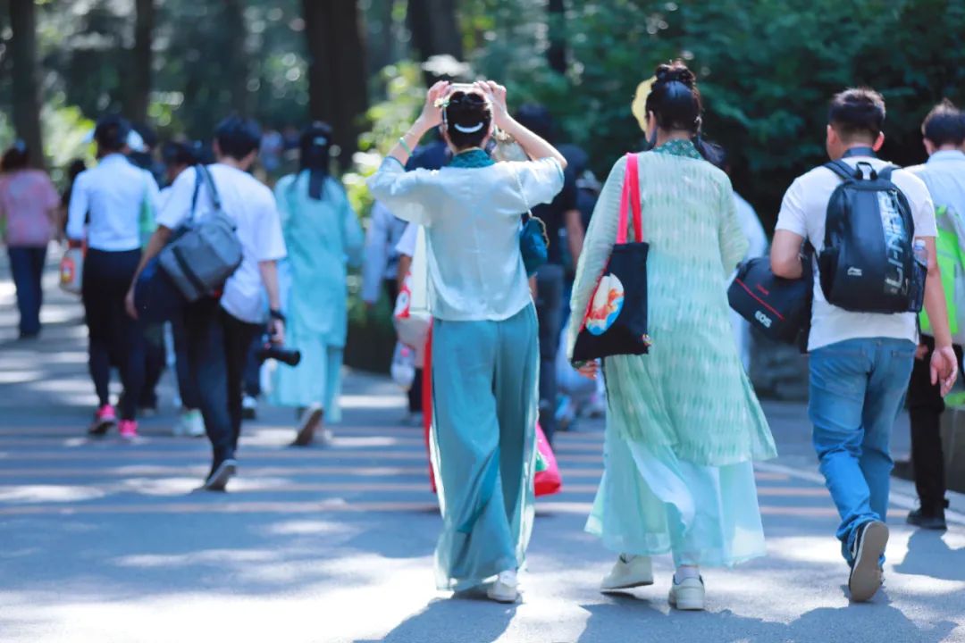 活动报导｜一大早起来去爬山：白云山登高聚会