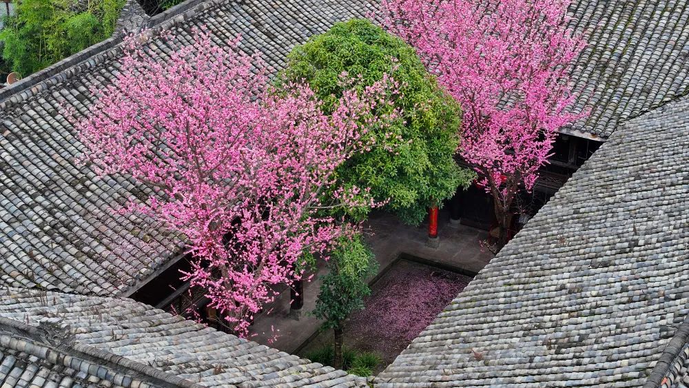 一城繁花正盛时~