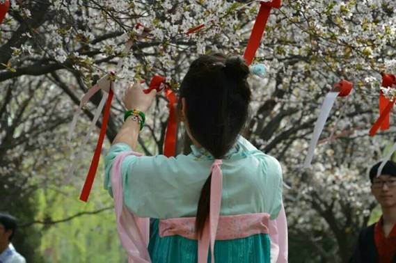 花朝节：百花生日里的千年风雅 - 第3张