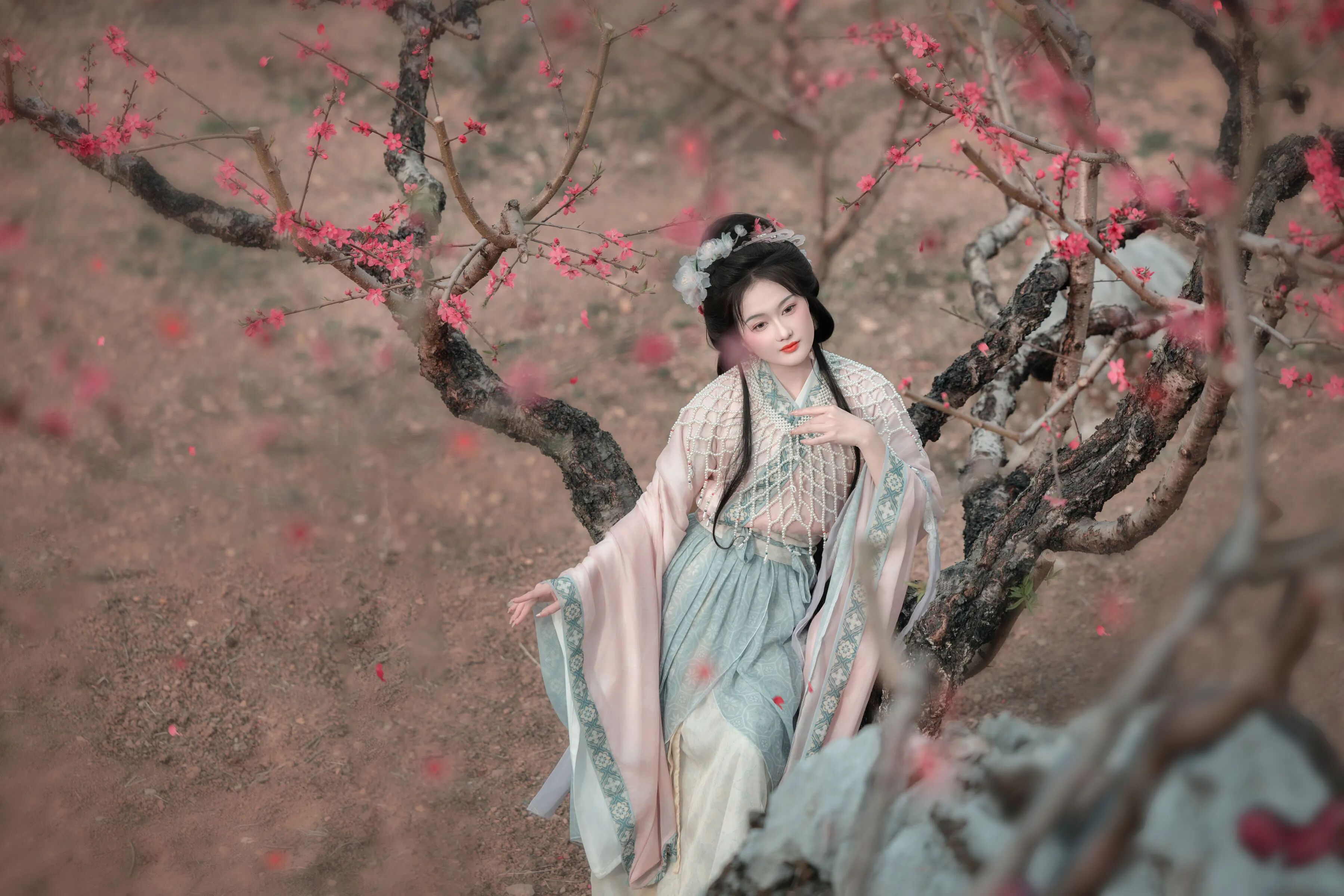 山间桃花粉蓝汉服写真教程：琵琶配披帛云肩，5个姿态拍出温婉才女风 - 第4张