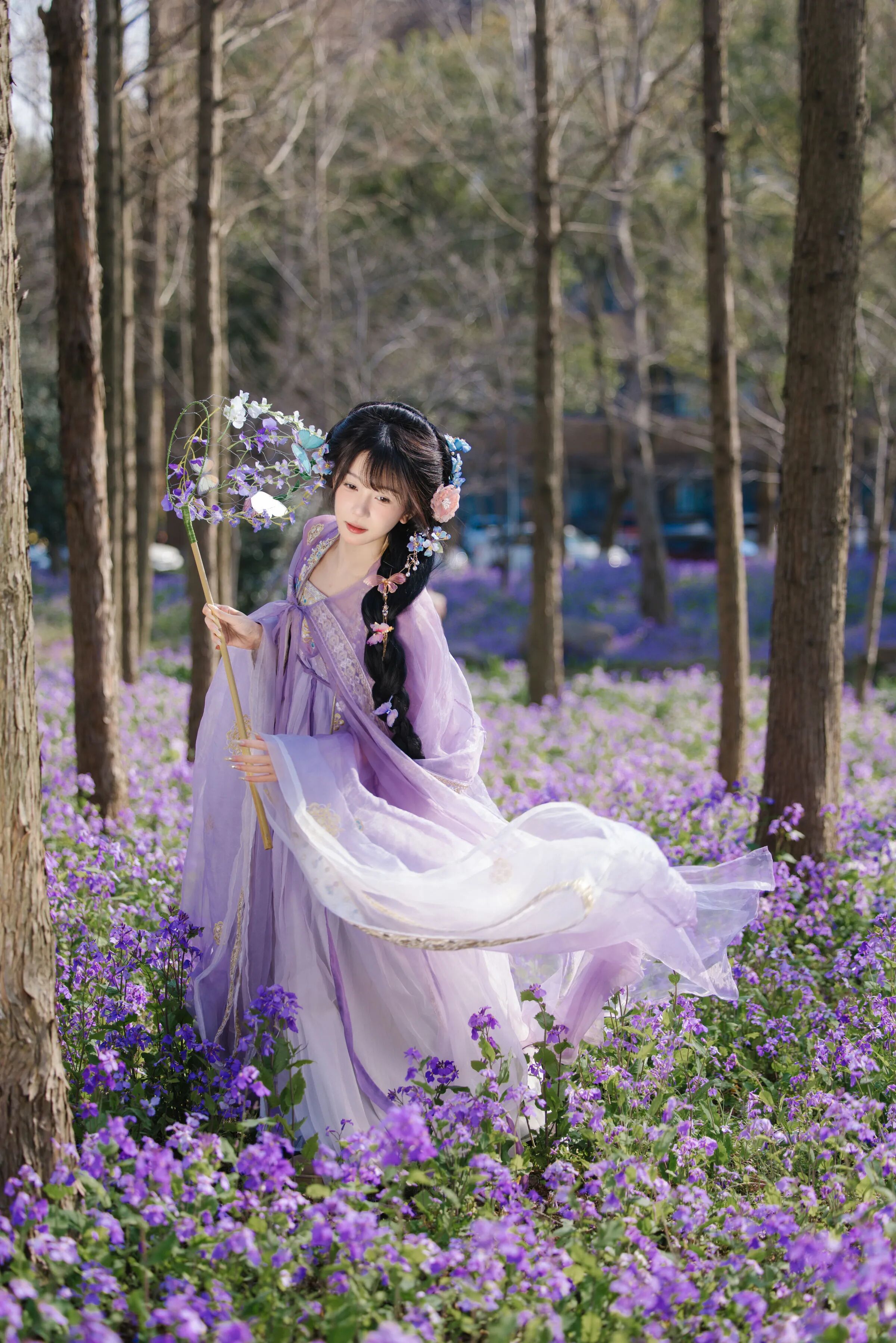 紫色花海｜淡紫汉服花伞团扇拍出仙气古风 - 第1张