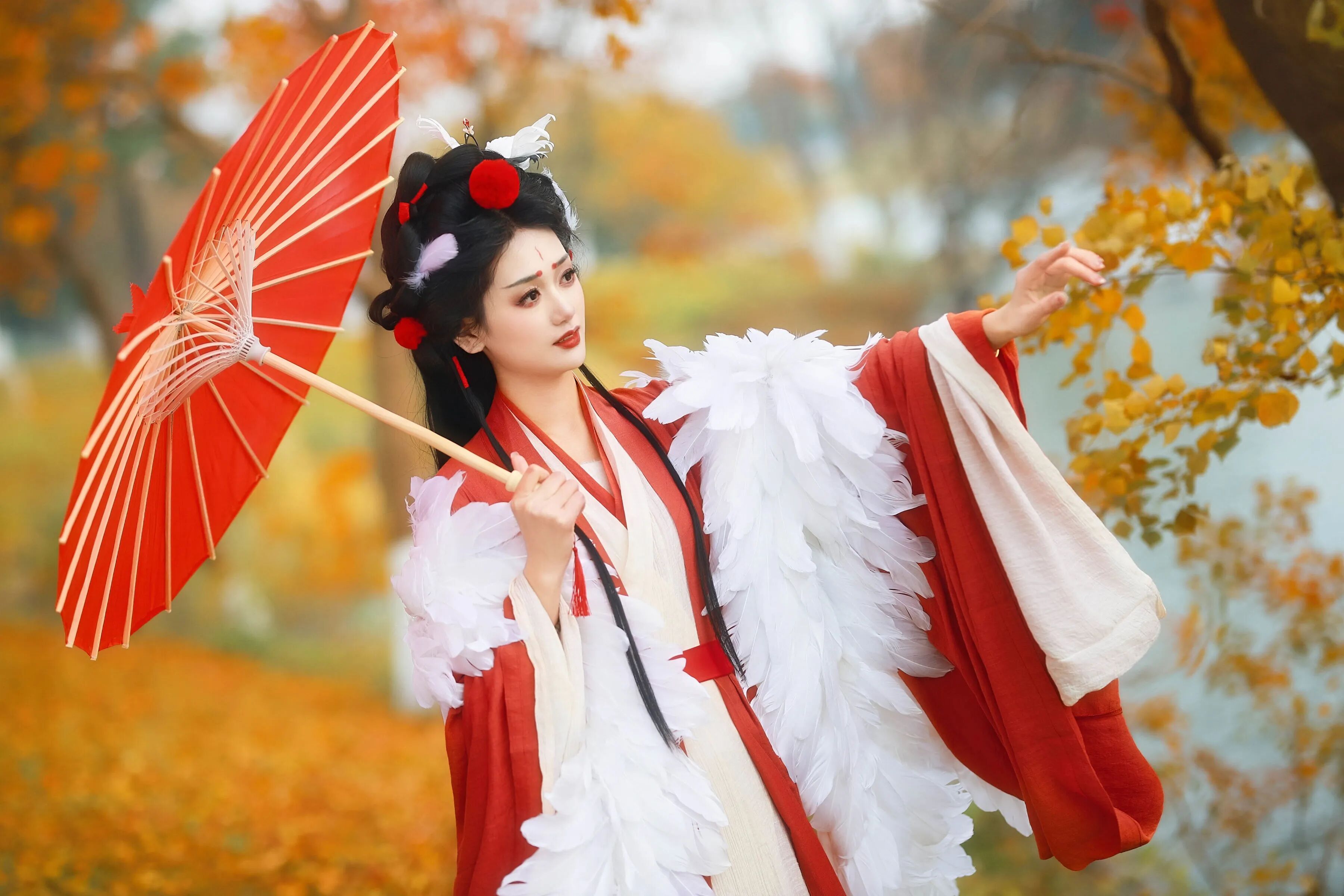银杏林下｜红色羽衣汉服油纸伞拍出秋日仙气 - 第2张