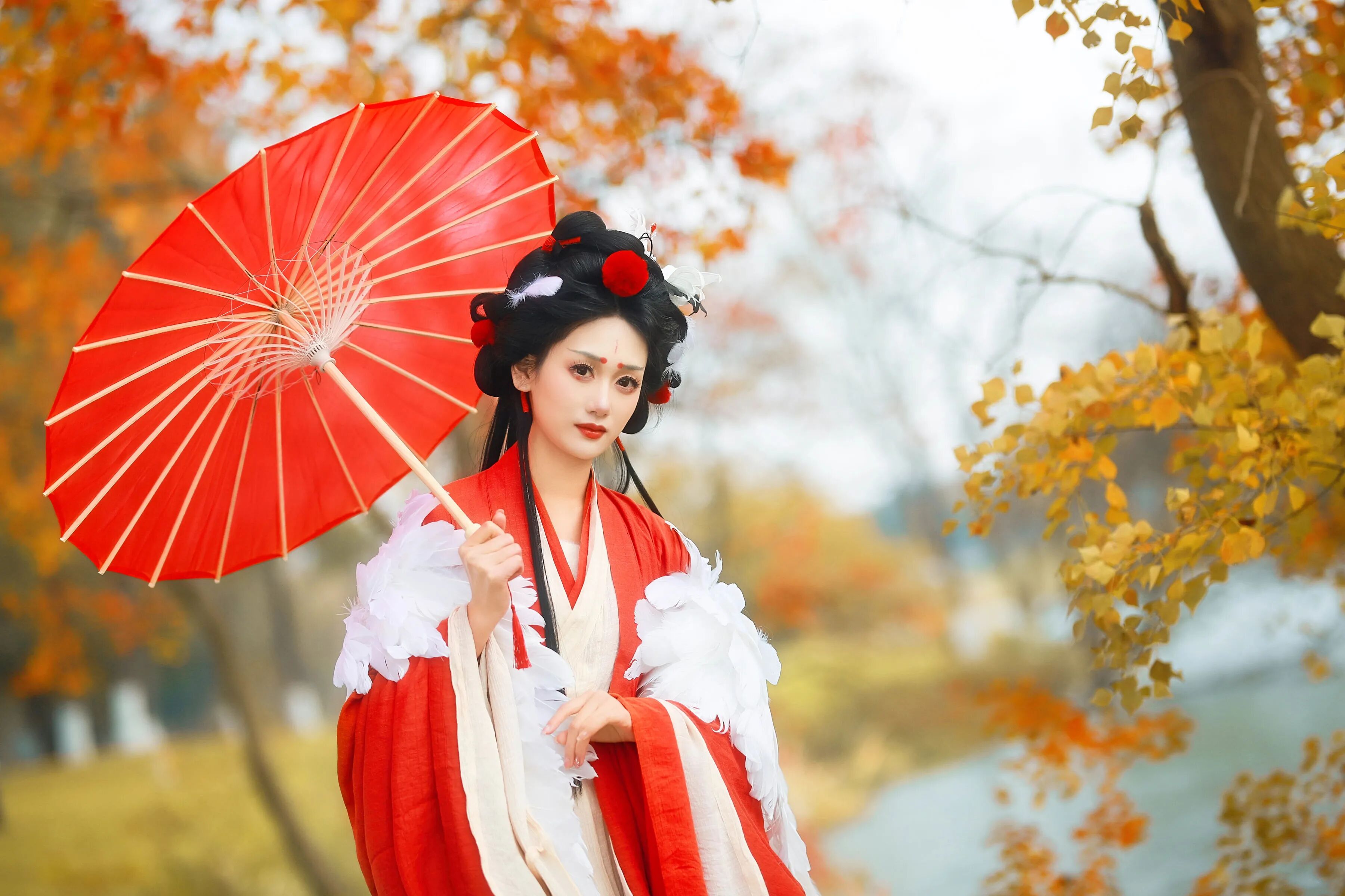 银杏林下｜红色羽衣汉服油纸伞拍出秋日仙气 - 第3张