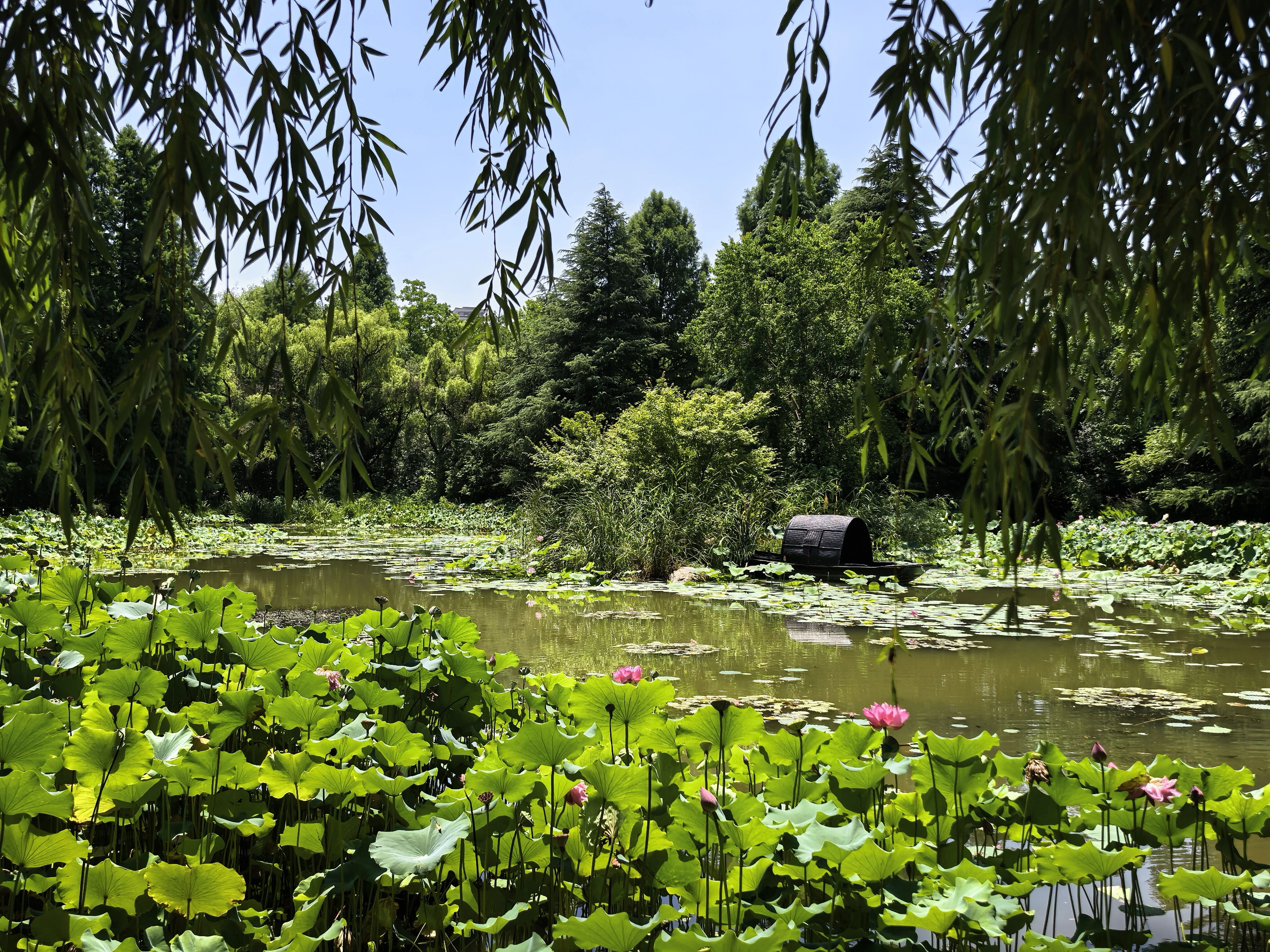 【汉服游记】洛城寻梦:一袭汉服赴盛唐,在洛阳把千年风华穿在身上 - 第8张 - 汉服颂 【汉服游记】洛城寻梦:一袭汉服赴盛唐,在洛阳把千年风华穿在身上 - 第8张