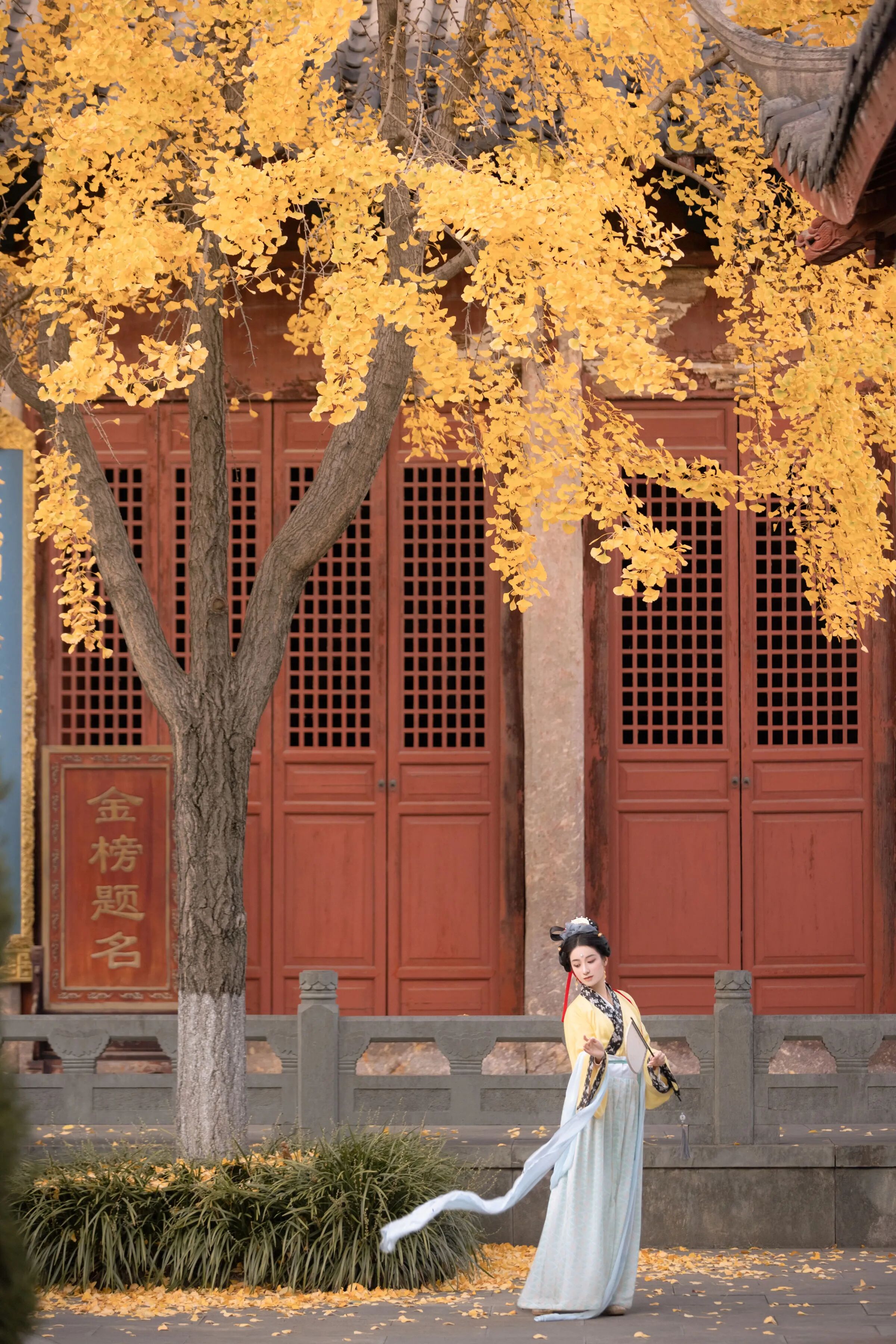 【汉服写真】银杏黄了配白纱古建,门框取景拍出秋日诗意 - 第3张 - 汉服颂 【汉服写真】银杏黄了配白纱古建,门框取景拍出秋日诗意 - 第3张