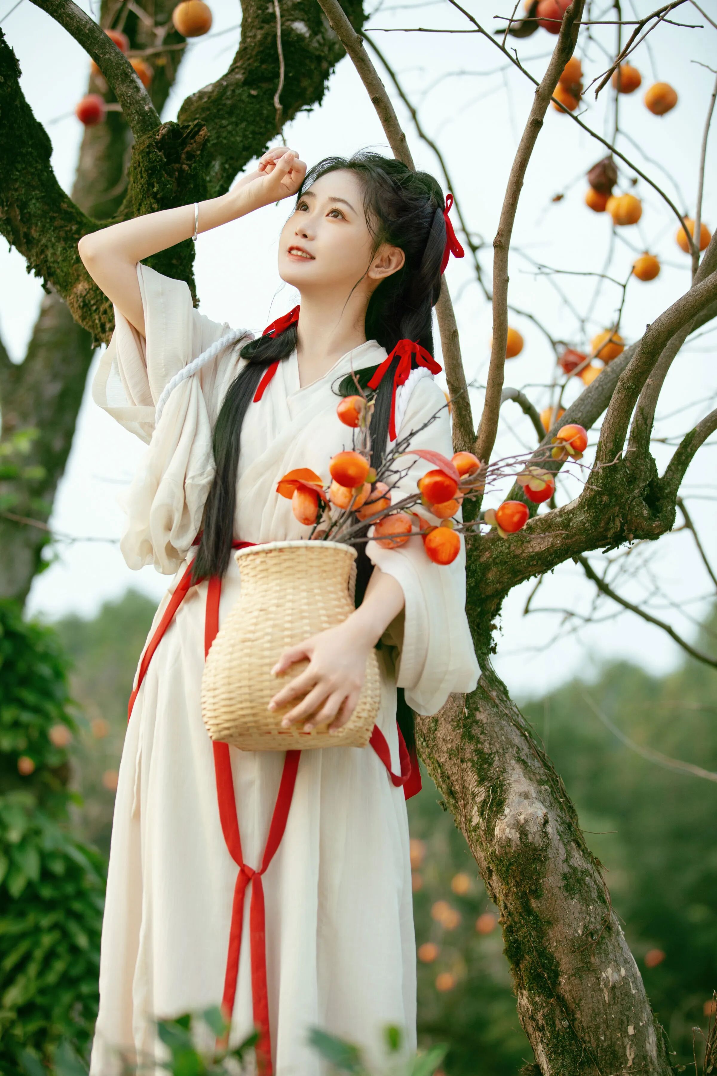 柿子树下白色汉服写真教程:红丝带配竹篮,5个秋日姿态拍出清甜古风少女感 - 第3张 - 汉服颂 柿子树下白色汉服写真教程:红丝带配竹篮,5个秋日姿态拍出清甜古风少女感 - 第3张
