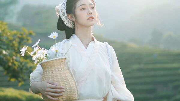 【汉服写真】白色采茶服配竹篮雏菊，清晨茶园拍出治愈田园风