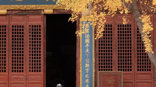【汉服写真】银杏黄了配白纱古建，门框取景拍出秋日诗意