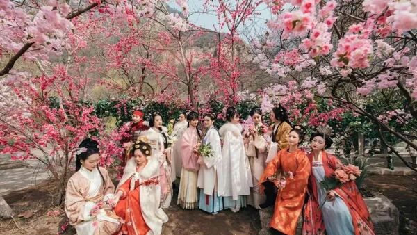 花朝节：百花生日里的千年风雅