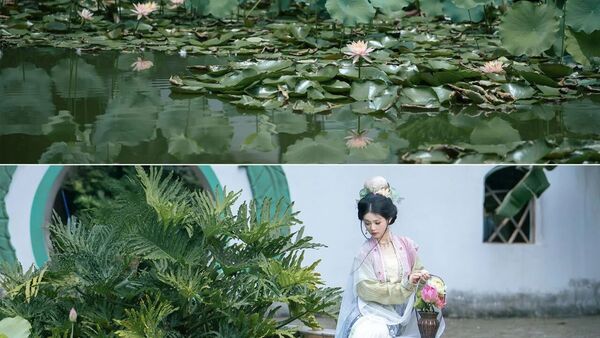 半篓春深