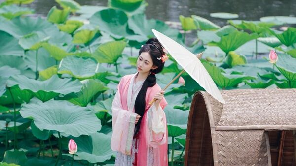 【汉服写真】沈阳荷花乌篷船：误入藕花深处，一棹摇碎满池夏