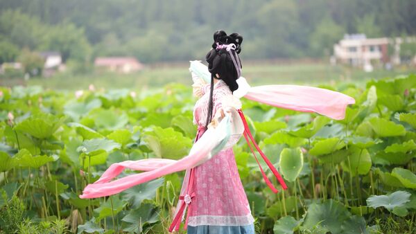 乘风赴荷约
