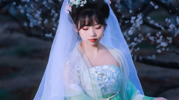 梅林夜宴：佳人寻梅图