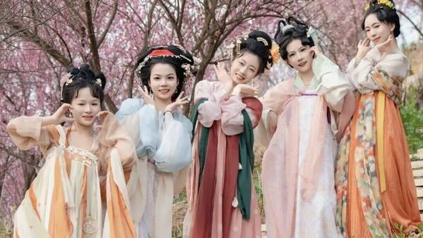 汉服同袍必看！武汉花乡茶谷免票入园，梅林拍照&围炉煮茶全体验