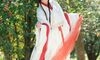 【汉服写真】白裳红衬执油纸伞：山茶花下明艳古风，一伞轻摇入画来