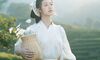 【汉服写真】白衫雏菊背竹篓：茶园晨光里，逆光托出清新少女感