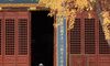 【汉服写真】银杏黄了配白纱古建，门框取景拍出秋日诗意